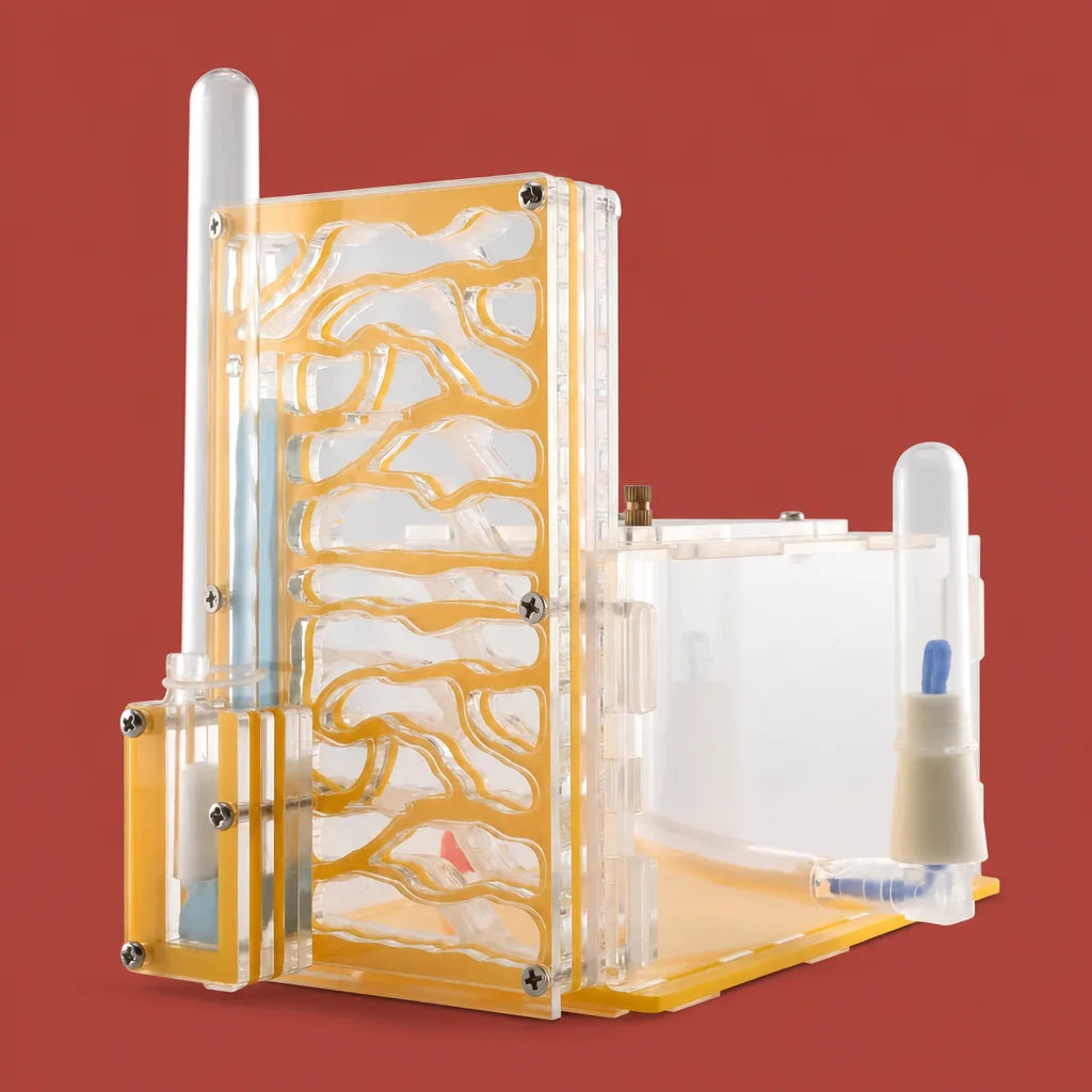 Big villa acrylic ant farm with moisture chamber, front view, yellow-white variant
