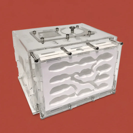 Kids DIY acrylic ant farm with plaster nest, Small size, front view