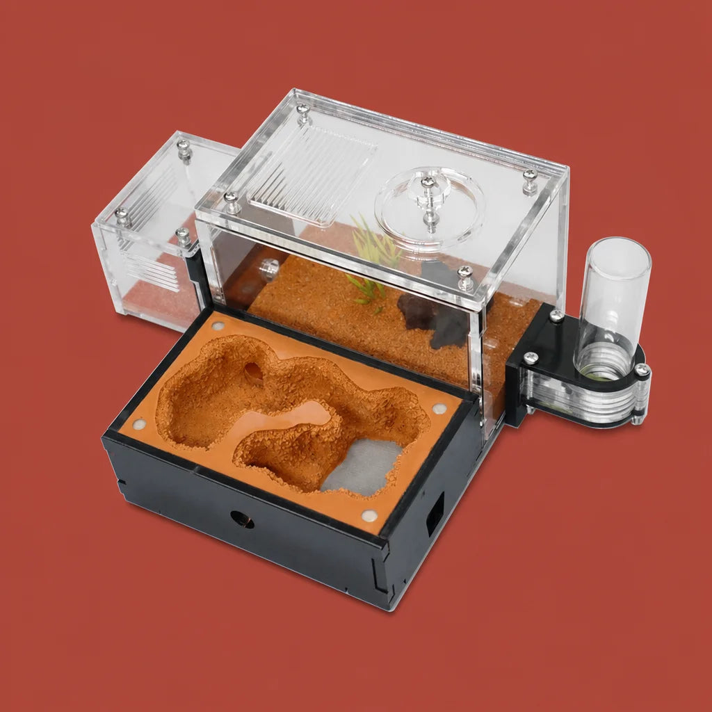 Yellow soil ant farm kit full packshot showing acrylic nest body and water tower