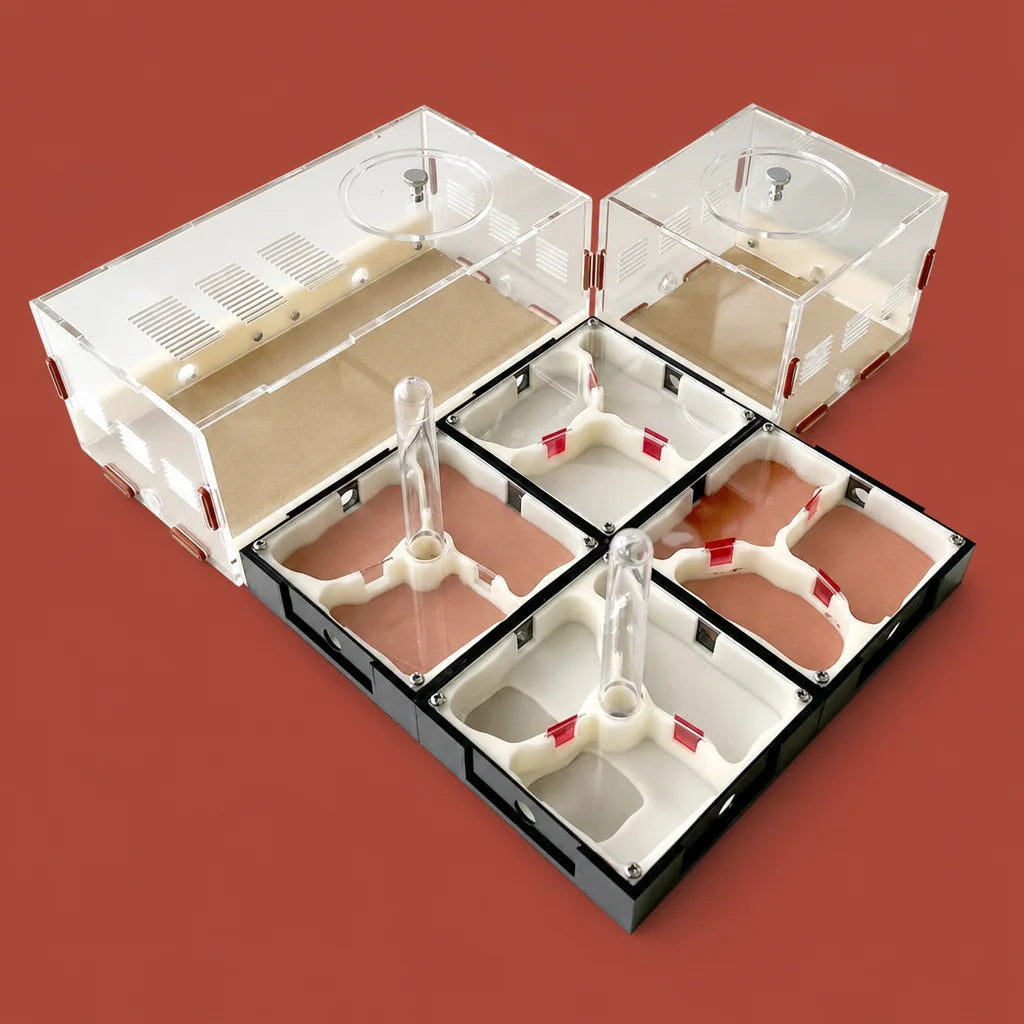 Modular acrylic ant farm with gypsum nest chambers and water tower, full set view