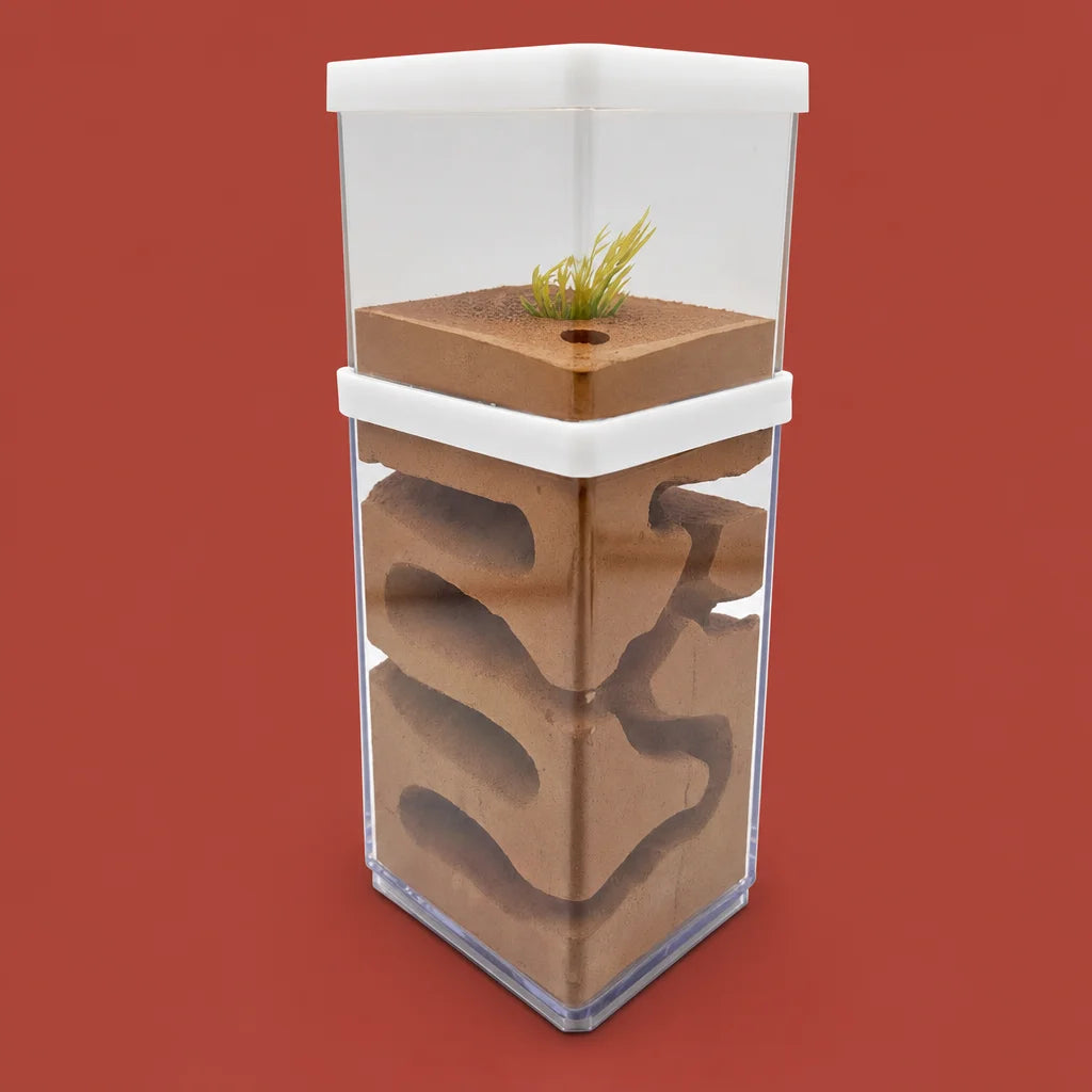 Gypsum ant farm castle nest with transparent acrylic shell and feeding area, large double-layer format