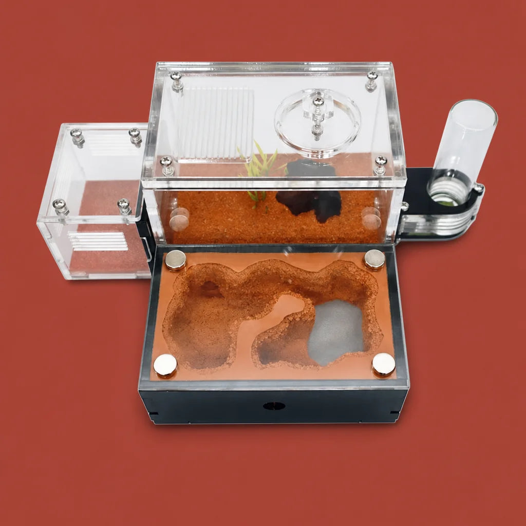 Concrete ant farm with external water tower and magnetic garbage area, 15x11.5x9 cm, full kit