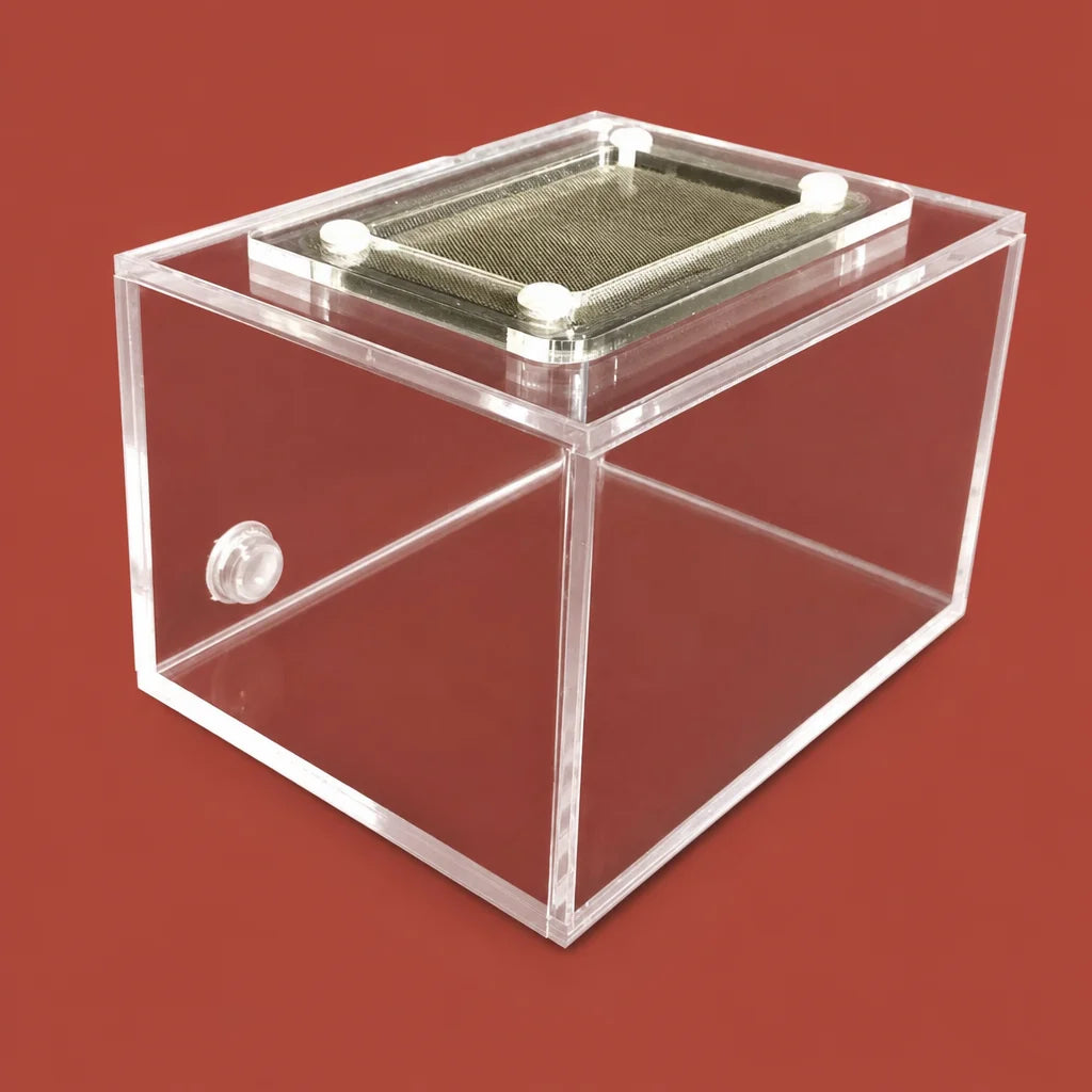 Acrylic ant feeding box 10x7x6cm with stainless steel mesh lid, front view