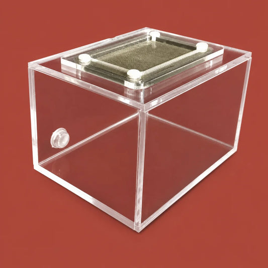 Acrylic ant feeding box 10x7x6cm with stainless steel mesh lid, front view