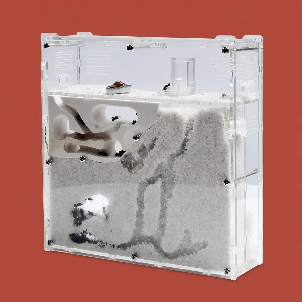 Ant Factory Ants House Castle Insects Terrarium Ant Cage Insects Box Nursery Ecological Kid Educational Tool S21 : packshot