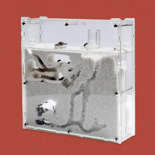 S21 ant farm terrarium kit clear plastic enclosure 174x50x176mm front view