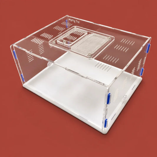 Grape Series XL acrylic ant nest front view showing clear chamber layout