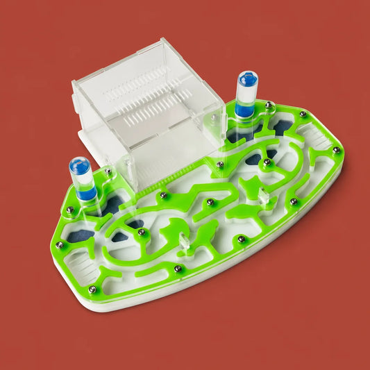 Large acrylic ant formicarium 24x18cm with built-in foraging arena, green, front view