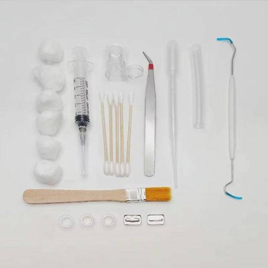 DIY Acrylic Ant Farm Tools Set with Food Water Feeder Ant Nest Accessories Ants House Workshop Pet Anthill Toolkit : rotation 360